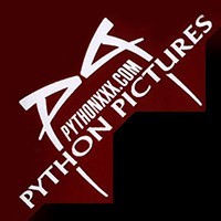 Python Pictures Profile Picture