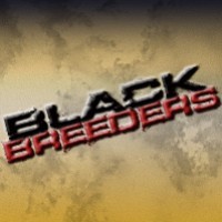 BlackBreeders