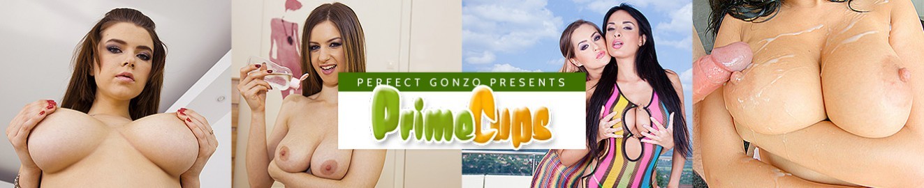Prime Cups cover
