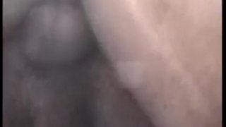 Scene 2 Of The Cum Club
