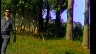 Scene 2 Of Brazil Nuts