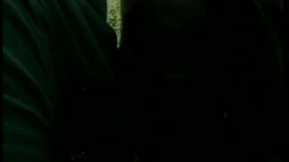 11 Scene 12 Of Porn Vixens