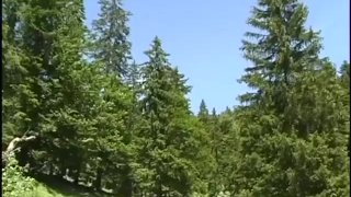 Scene 4 Of The Austrian Gigolo