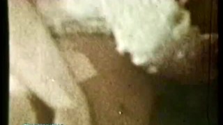 MySearchPassion - Classic Stags 186 1960's - Scene 4