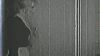 Scene 2 Of Classic Stags 310 From The 1950S And 1960S