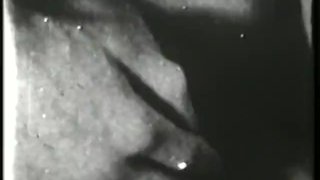 Scene 4 Of Classic Stags 187 From The 1950S And 1960S