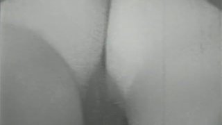 548 50'S And 60'S Softcore Nudes Scene 8