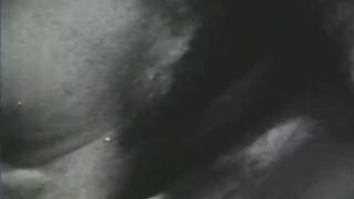 649 1960'S Scene Softcore Nudes