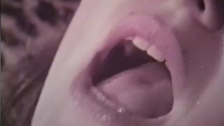 Classic Scene 1 Softcore Nudes 539 60S And 70S