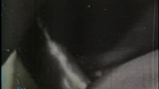 320px x 180px - Free Vintage 50s Porn Videos from Thumbzilla