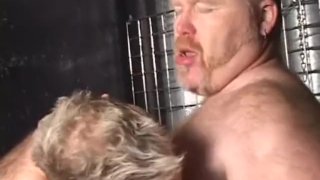 Assault On My Bear
