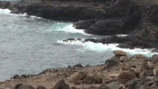 Cought Public Masturbation