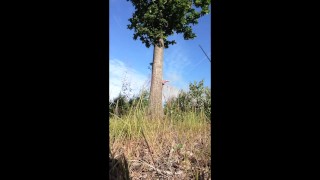 The Magic Tree Is Displaying Some Interesting Information