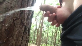 Urinating In Public