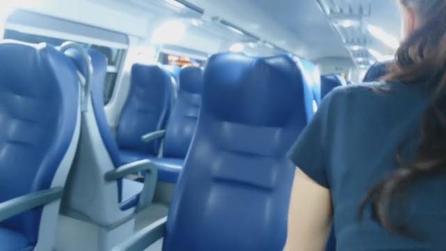 Couple Anal Fuck on Public Train - Pornhub.com