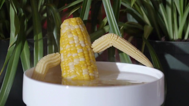 Www Xxx Corn - Hot Steamy Hardcore Corn - Pornhub.com