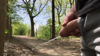 Piss Public Piss By A Nice Flaccid Cock