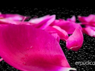 Do You Remember? (What We Were_to Each Other) - sensual erotic audio_by Eve's Garden