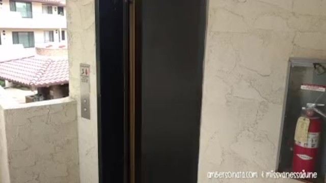 Public Elevator Girl Fingers Girl Passionately!