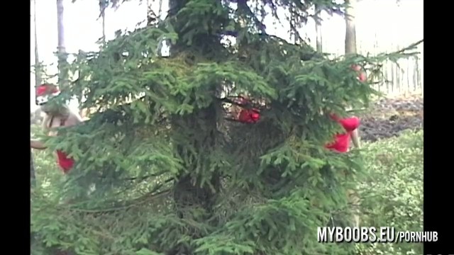 Three Busty lesbians in Xmas Video playing tugether in forest