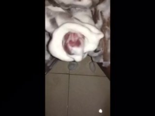 Boy Mastrubates Covered In Foam And Licks His Tasty Cum
