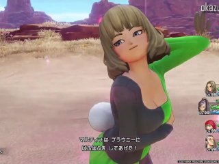 Dragon Quest Xi All Females Sexy Pose