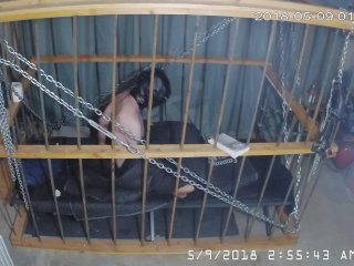 The Cage Cam May 9 2018 004` Another Auto Recorded Clip Of This Bois New R