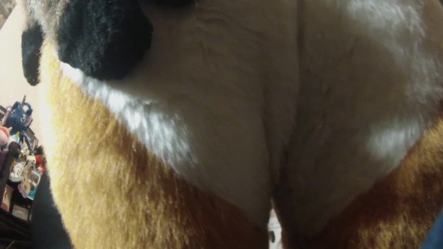 Female Furry Deer Hentai Porn - Furry Lapdance Simulator