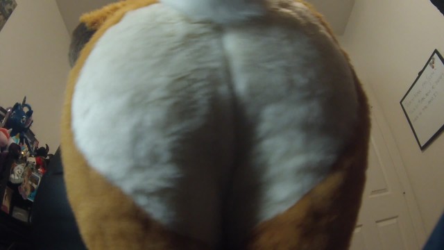 Furry Animal Hat Porn - Wagging my Tail - Pornhub.com