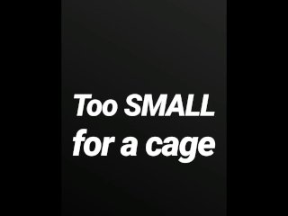 Too Small For A Cage Sph Joi Audio Only