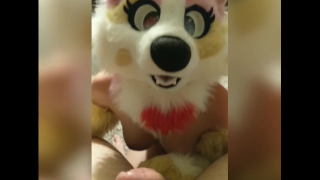 Furry Costume Sex - Foxy Gets Blown by Iliza and Takes her for a Ride (Fursuit Sex) -  Pornhub.com