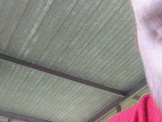 Sucking A Fat Black Cock