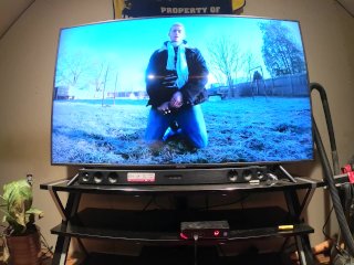 Flint Wolf Is Better On Big Screen Tv