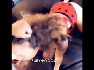 Ruby Havoc Loves Sharing Cock Blowjob_Compilation