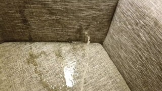 Carpet Piss In A Hotel