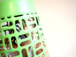Small Plastic Cage