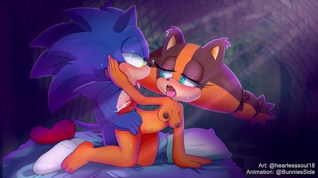 Sonic O C Porn - Sonic OC Characters (Commission) - Porno Video | PornoGO.TV
