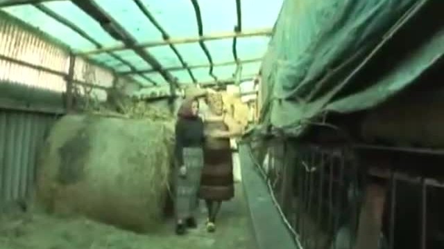 Lesbian Granny Sex In A  Barn