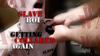 Piercing Collared Slaveboi Once More