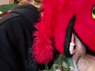 Dumb Bitch Fox Puts Dick In Her Mouth
