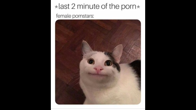 640px x 360px - Funny Porn Memes you will Explode to - Pornhub.com