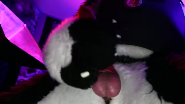 Police Dog Furry Porn - Police Dog Cumshot - Pornhub.com