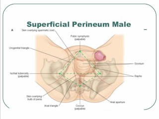 masturbation techniques for men.stimulation of the corona.