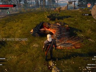 The Witcher 3 Episode 4:Griffin Mission!