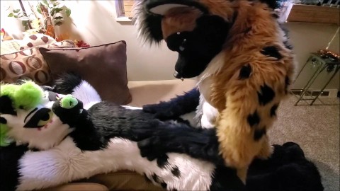 Cosplay Furry Costume Porn - Fursuit Porn Videos | Pornhub.com