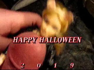 Bbb Preview (Cum Only) Halloween 2019: Ana Nova Catwoman Wmv With Slomo