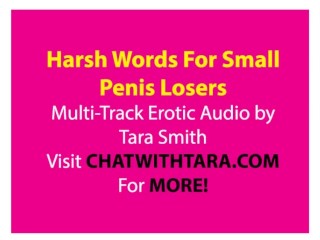 Harsh Reality 4 Small Penis Men SPH Erotic Audio_Multi-Track Trance Layer
