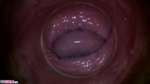 Porn internal cam Internal vagina