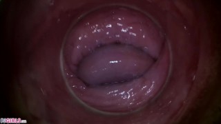PJGIRLS – Camera deep inside Paula Shy’s vagina (Full HD Pussy Cam)