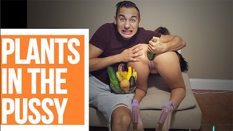 Vegetable Porn Videos | Pornhub.com